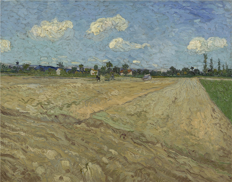 Ploughed Field Van Gogh Oil Painting